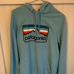 Patagonia Men’s Organic Cotton Hoodie